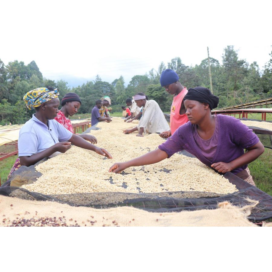 Nordbeans Keňa Mutitu PB 200g