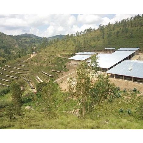 The Miners Rwanda Bwenda 250g