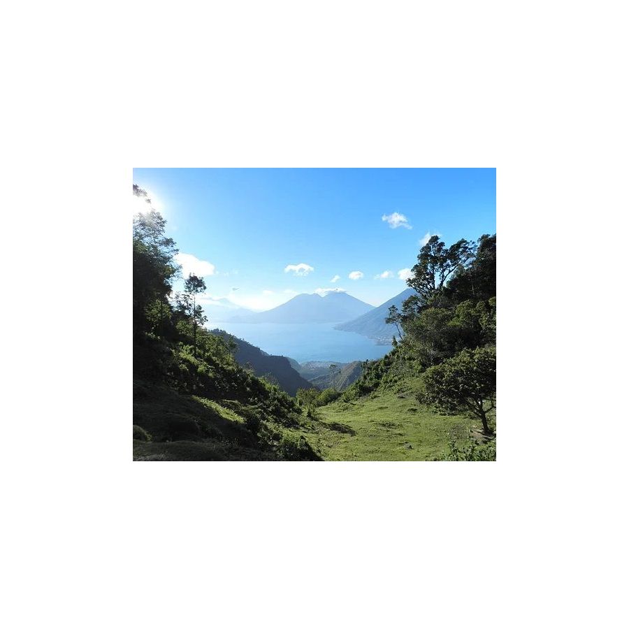 The Miners Guatemala Primavera Decaf 250 g