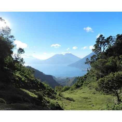 The Miners Guatemala Primavera Decaf 250 g