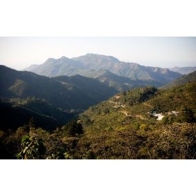 Guatemala Trés Maria, zrnková káva arabica 2