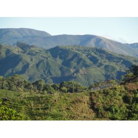 Kostarika Tarrazu, stredne pražená, zrnková káva arabica