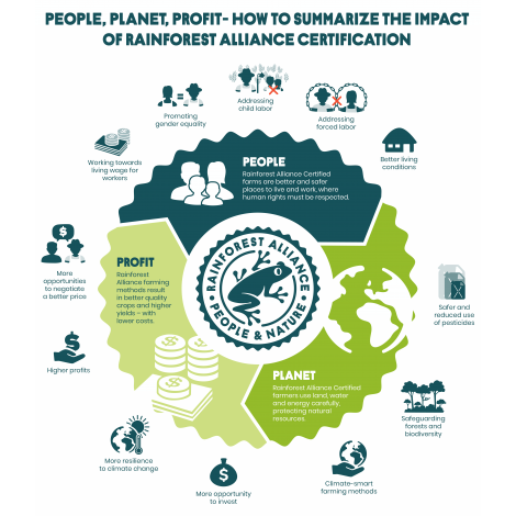 Brazília Fazenda Rainforest, zrnková káva arabica
