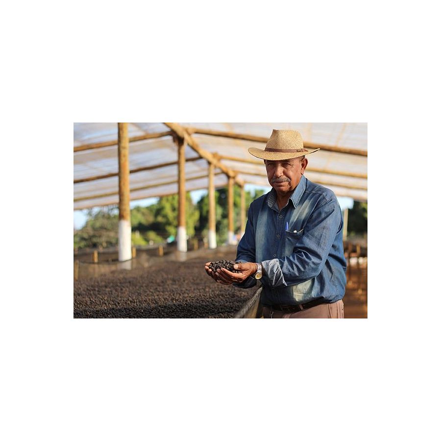 Nordbeans Brazília Sao Silvestre 200g