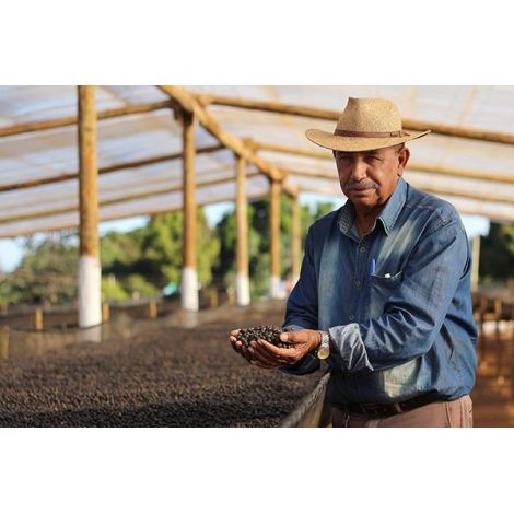 Nordbeans Brazília Sao Silvestre 200g