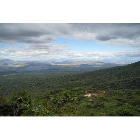 Nordbeans Rodolfo El Salvador 250g