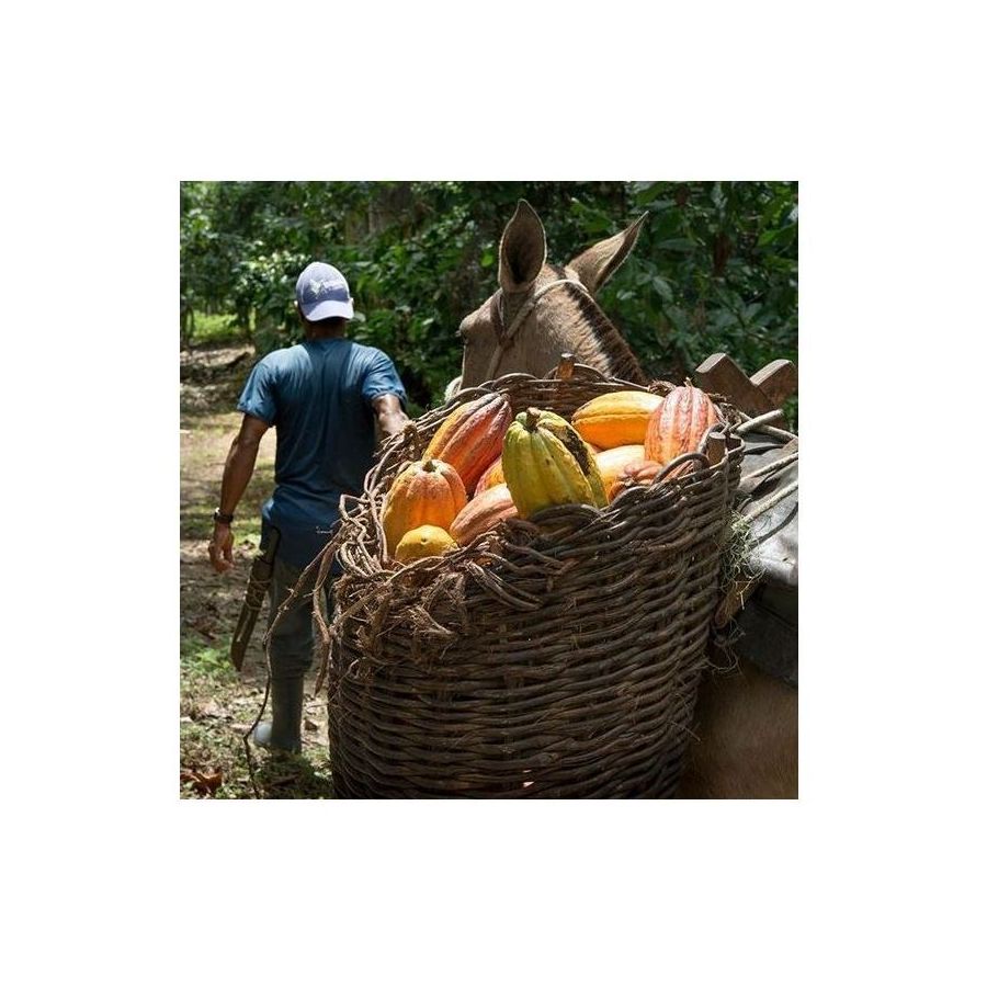 Čokoláda Michel Cluizel Arcango Grand Noir 85%