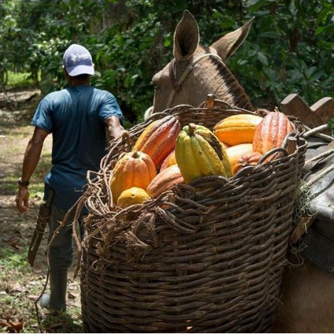 Čokoláda Bonboniéra Michel Cluizel „8 Cappuccino“