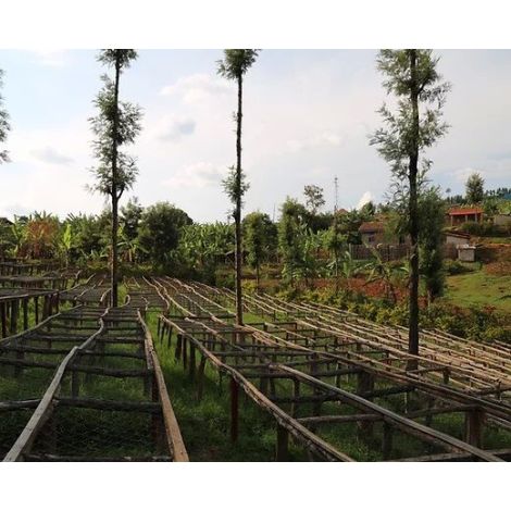 The Miners Rwanda Mwito 250g