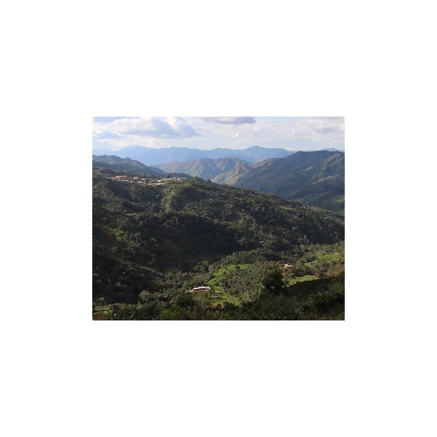 The Miners Peru Jacinto Jar 250g