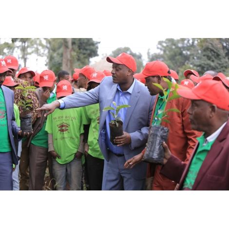 Nordbeans Etiópia Hamasho natural 250g