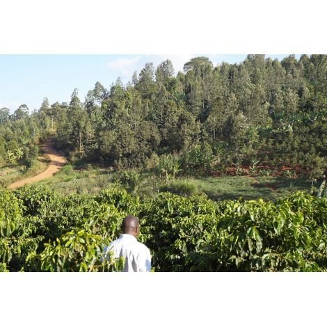 Nordbeans Keňa Gathinja PB 250g