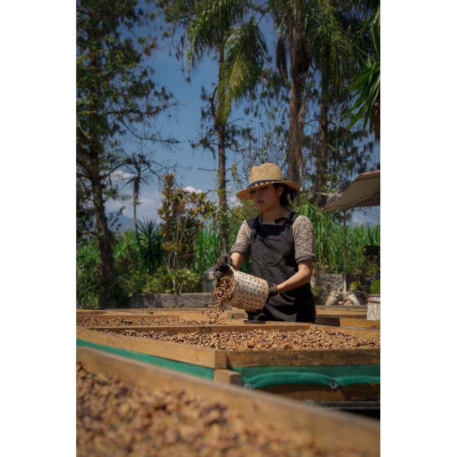 GourmetCoffee Specialty - Mexiko SV Kitos 250g