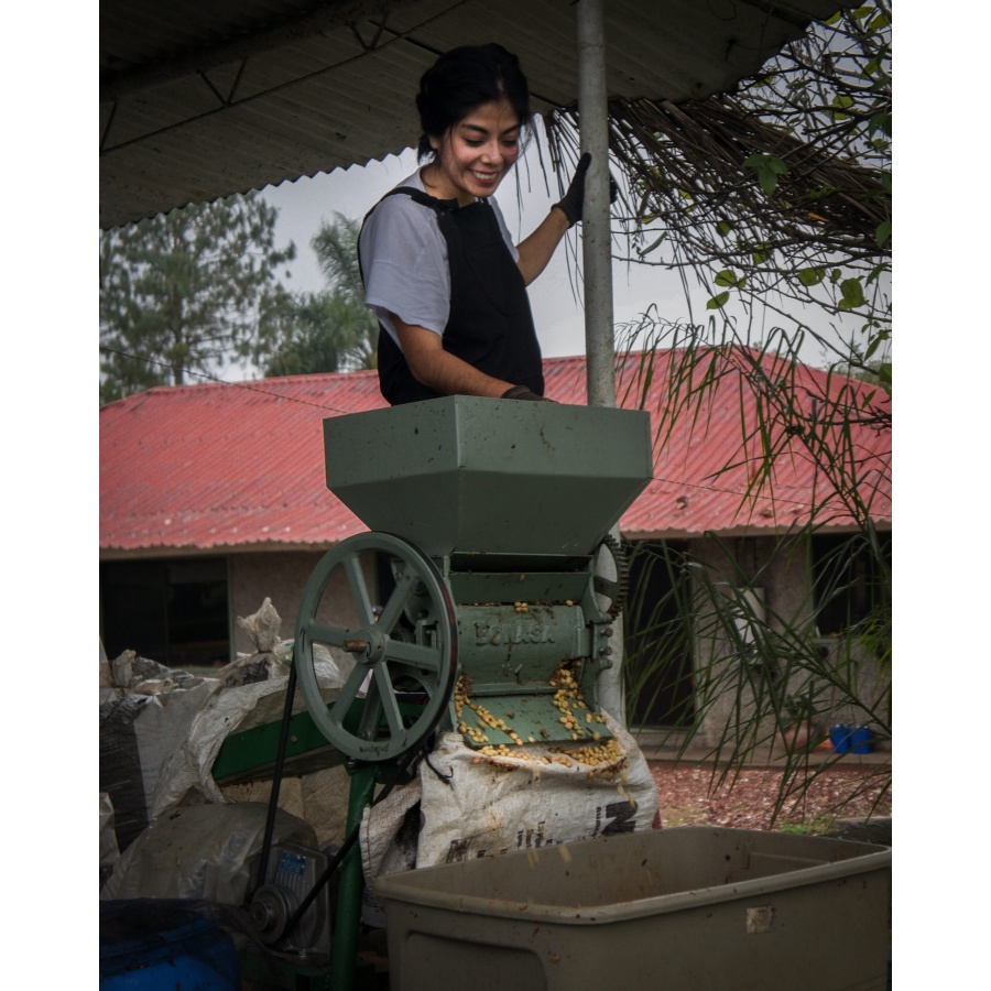 GourmetCoffee Specialty - Mexiko SV Kitos 250g