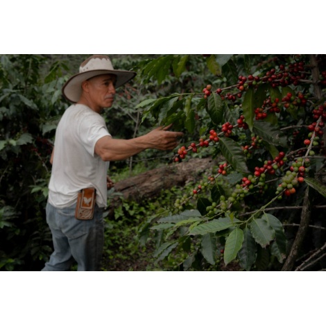 GourmetCoffee Specialty - Mexiko SV Kitos 250g