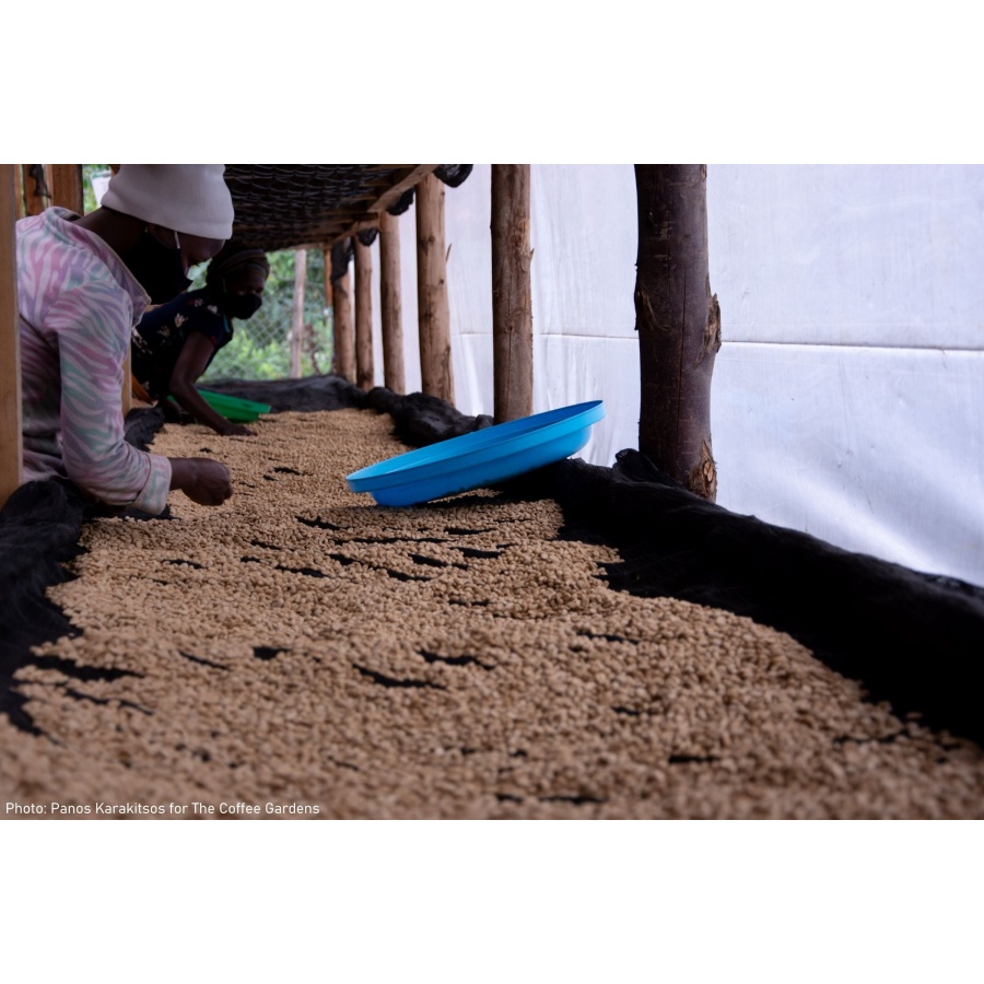 GourmetCoffee Specialty Uganda Buwobodeya 250g