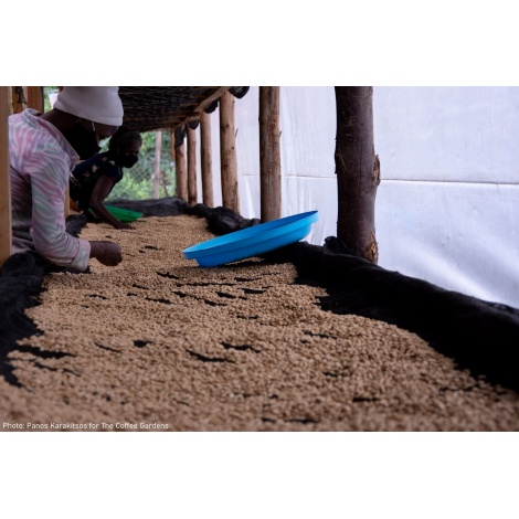 GourmetCoffee Specialty Uganda Buwobodeya 250g