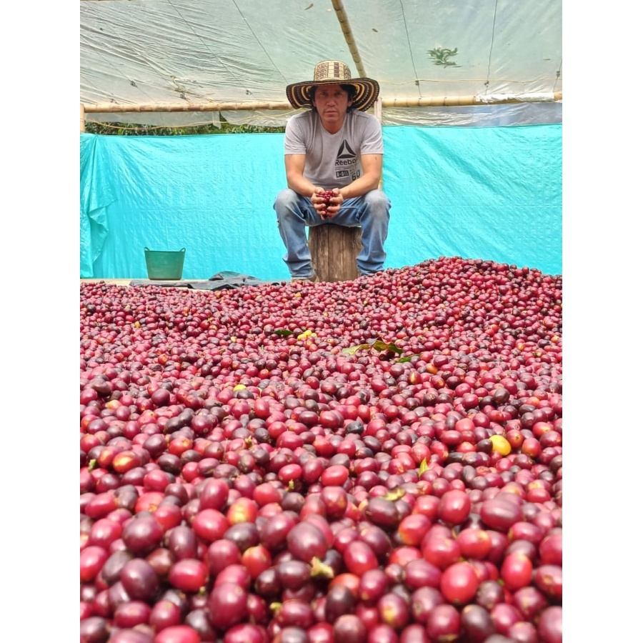 GourmetCoffee Specialty Kolumbia El Agrado Honey 250g