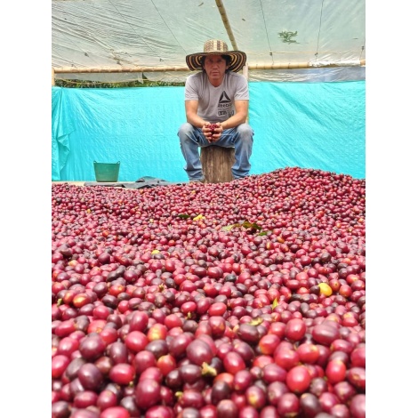 GourmetCoffee Specialty Kolumbia El Agrado Honey 250g