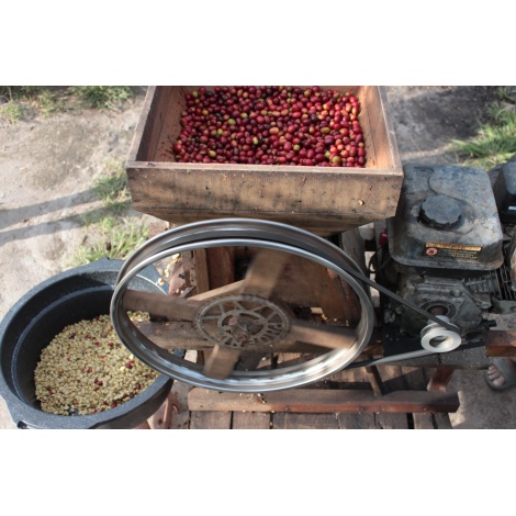 GourmetCoffee Specialty - Indonézia Aulila Kahfi 250g