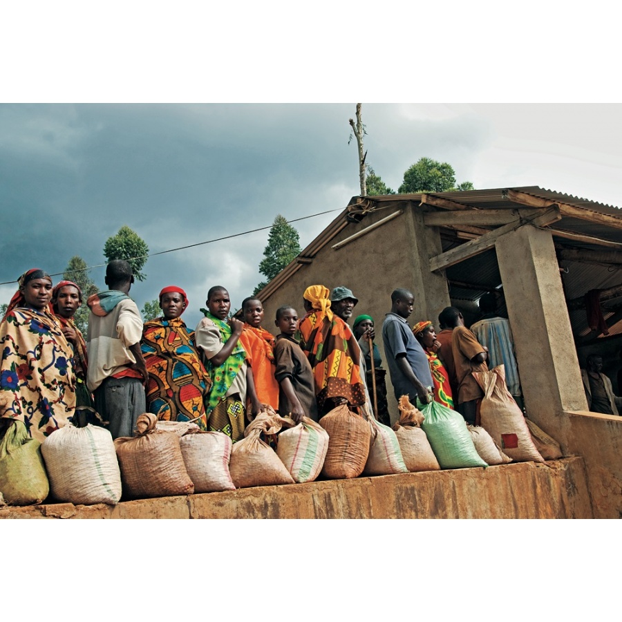 Kniha: The World Atlas of Coffee - James Hoffmann - 2. vydanie (EN)