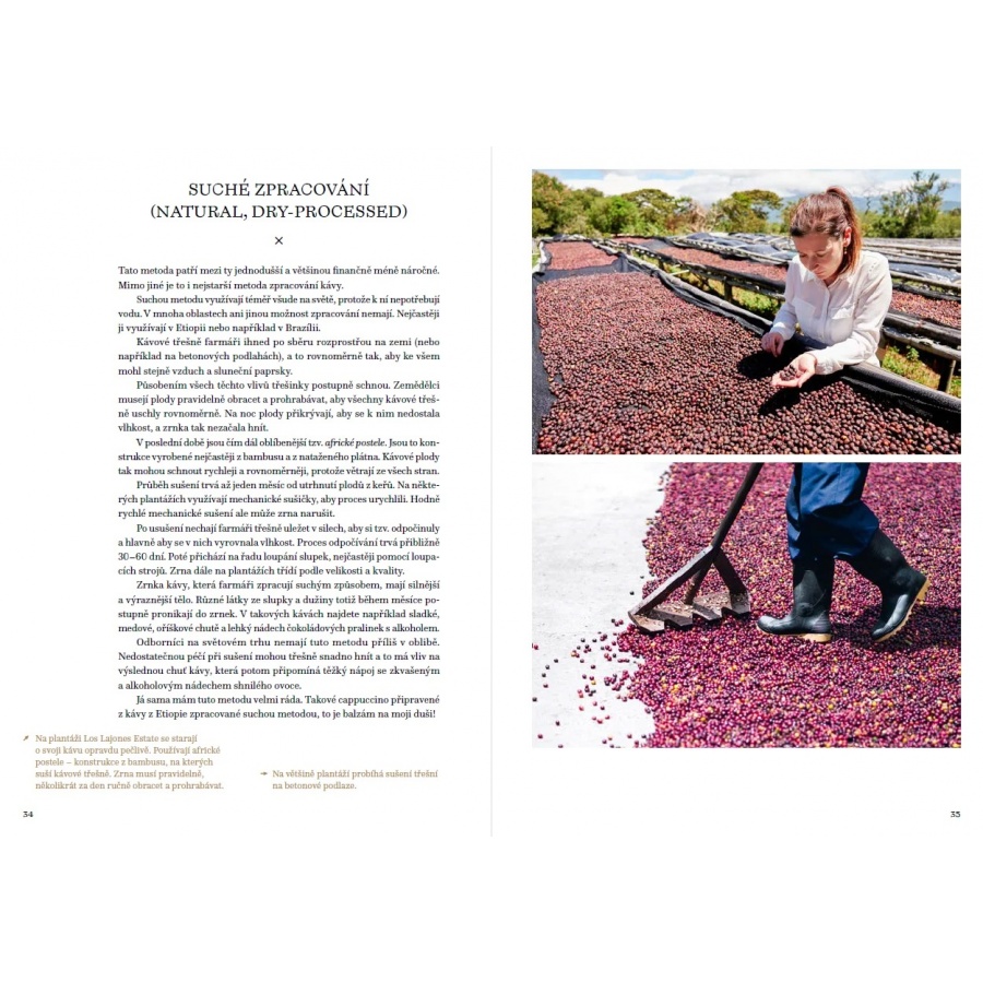 Veľká kniha kávy - Petra Veselá