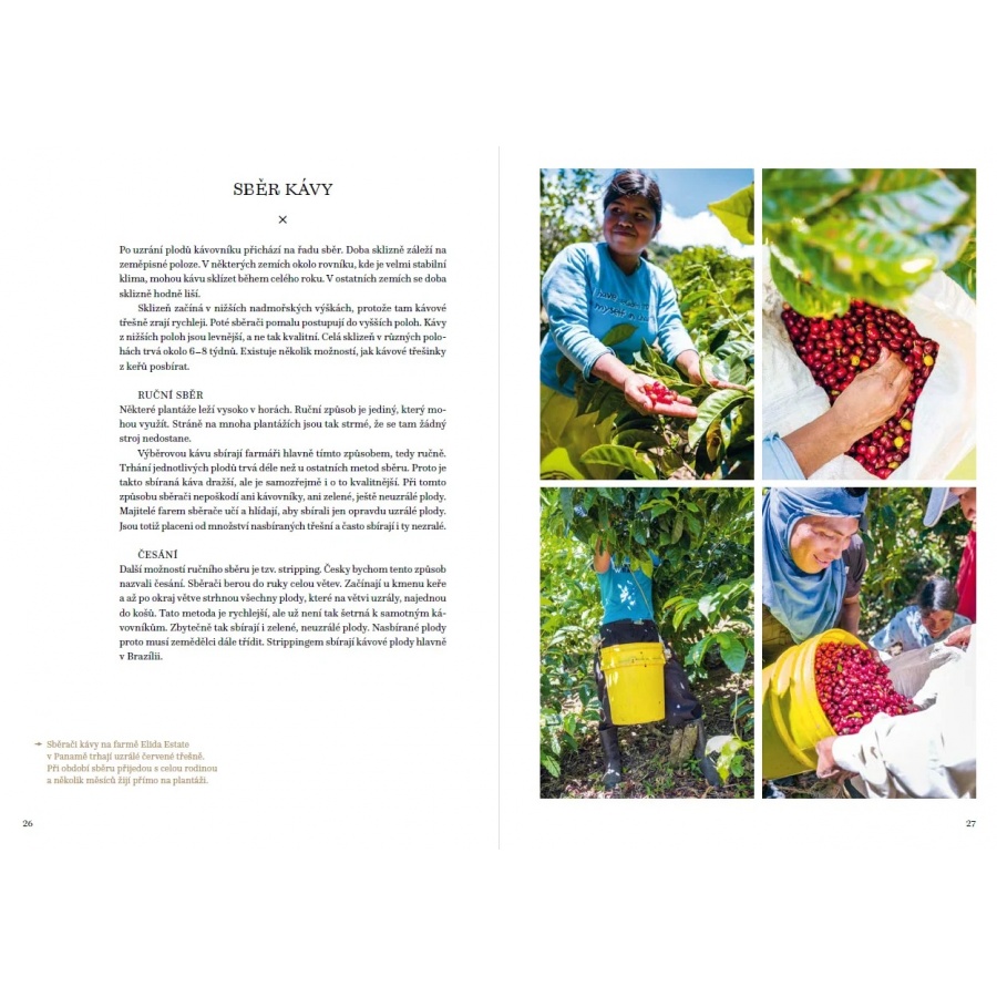 Veľká kniha kávy - Petra Veselá