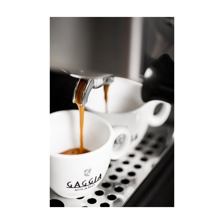 Pákový kávovar GAGGIA Classic EVO E24