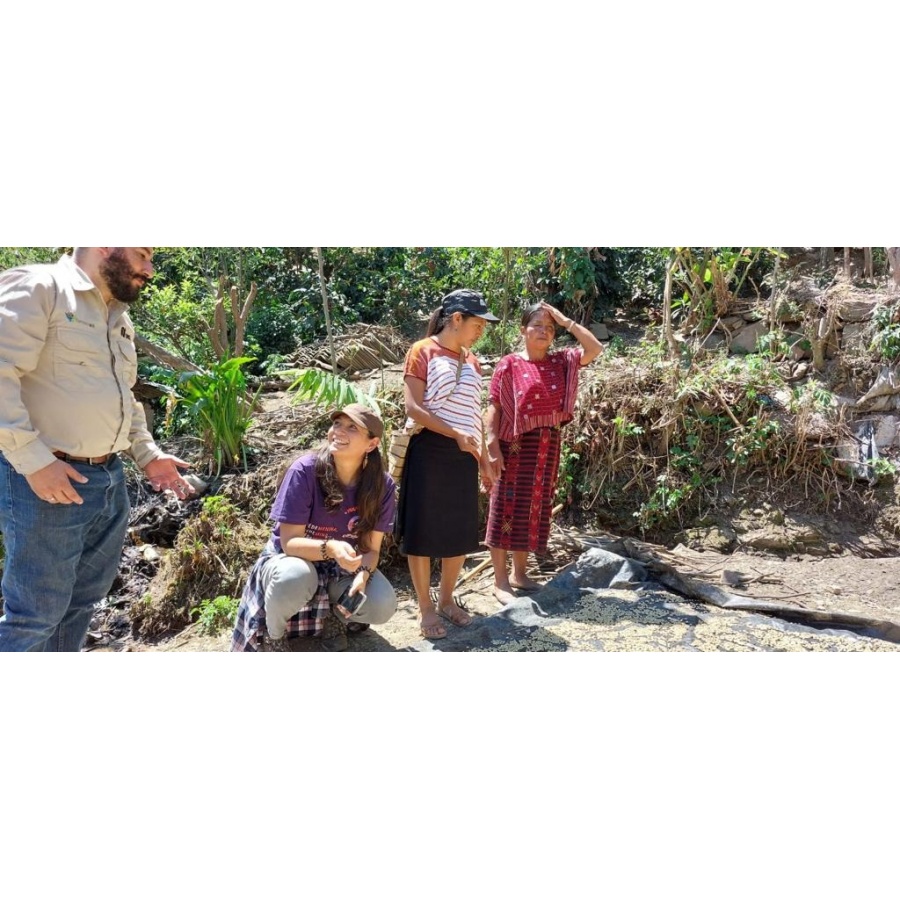 GourmetCoffee Specialty Guatemala Comal 250g