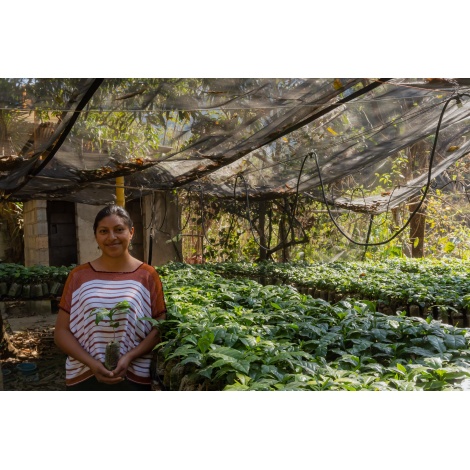 GourmetCoffee Specialty Guatemala Huehuetenango ESP 250g