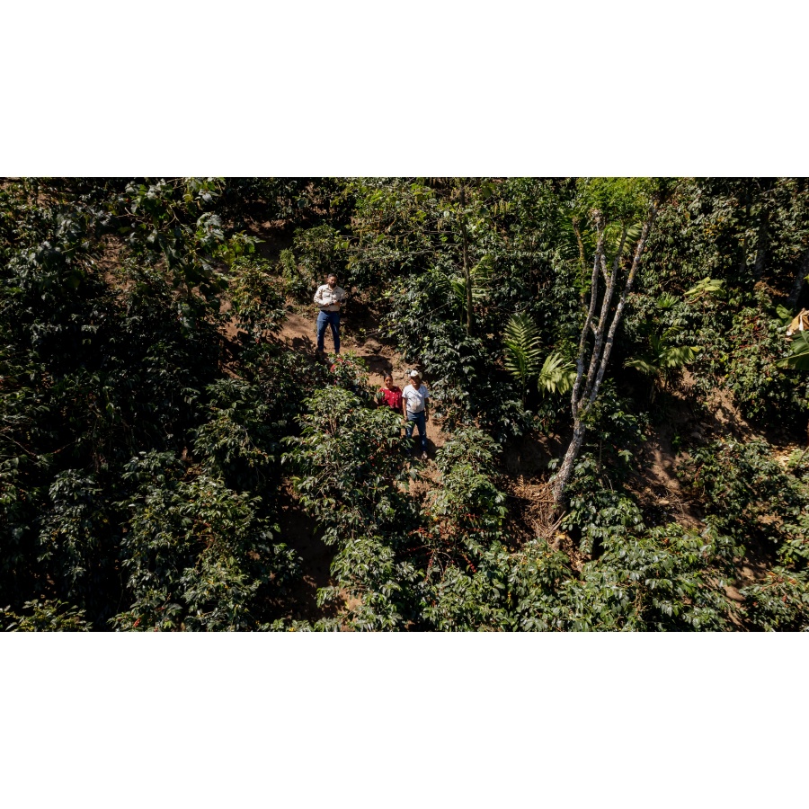 GourmetCoffee Specialty Guatemala Huehuetenango ESP 250g