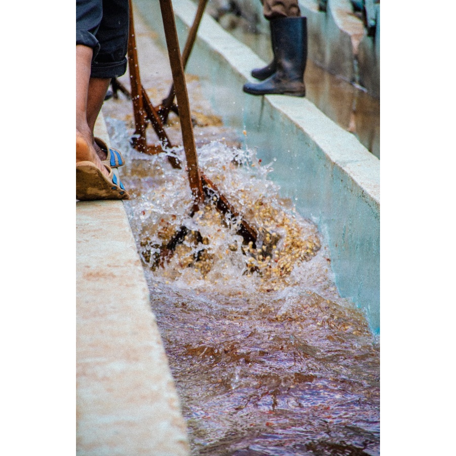 GourmetCoffee Specialty Keňa Baragwi - Guama AA 250g