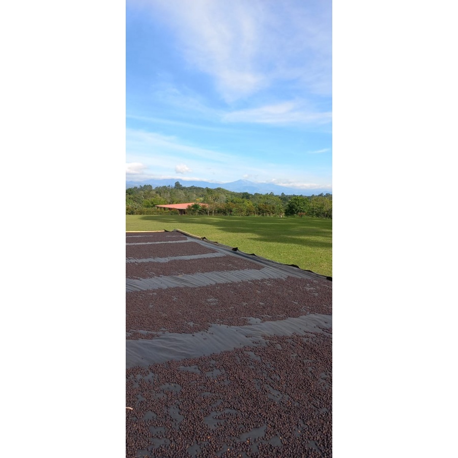 GourmetCoffee Specialty Colombia EL SILENCIO 250g