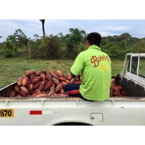 Czekolada Bonnat 100% 2