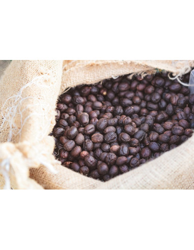 GourmetCoffee Specialty Brazil Freitas ESP 250g