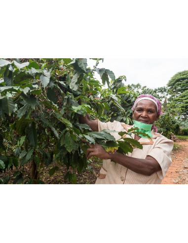 GourmetCoffee Specialty - Keňa Nyeri 250g