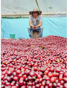 Fathers Coffee Colombia Inza 300g 2