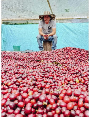 Father's Coffee Kolumbia Inza 250 g