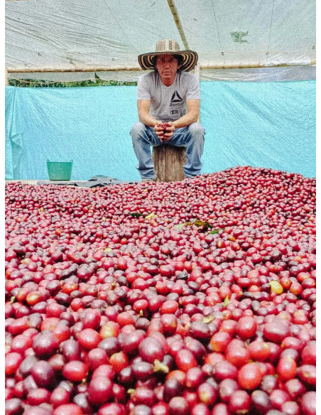 Father's Coffee Kolumbia Inza 250 g