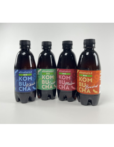 Allnature Kombucha Zázvor Organic 330 ml