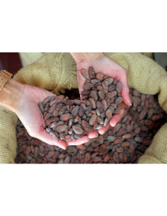 Mliečna čokoláda Bonnat Noisettes 55% s lieskovými orieškami 2