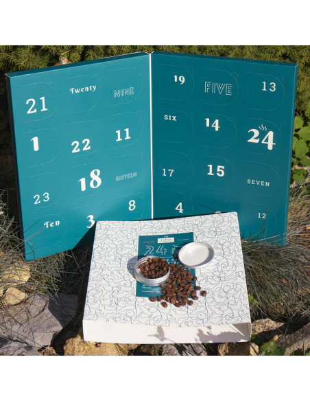 Adventný kalendár s výberovou kávou 2025