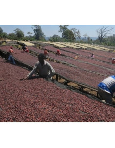 Káva Francin Keňa Ndundu 250 g 2