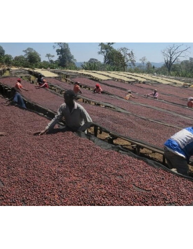 Káva Francin Keňa Ndundu 250 g