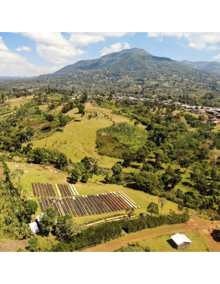 Nordbeans Keramo Natural Etiópia 250g