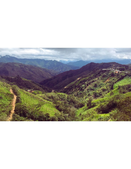 GourmetCoffee Specialty Peru Huabal 250g