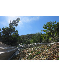 GourmetCoffee Specialty Brasil Vermelha ESP 250g 2