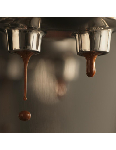 Pákový kávovar SAGE THE BAMBINO™ PLUS SES500BTR