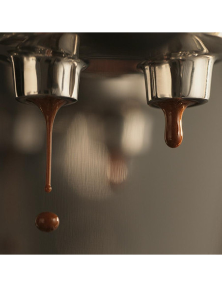 Pákový kávovar SAGE THE BAMBINO™ PLUS SES500BTR