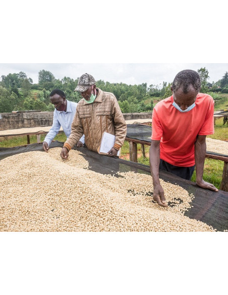 GourmetCoffee Specialty - Keňa Nyeri 250g